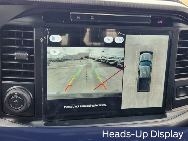 2025 Ford F-150 Platinum photo 13