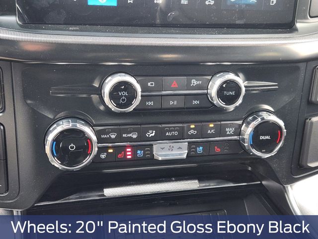 2025 Ford F-150 Platinum photo 14