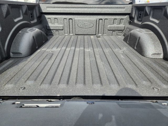 2025 Ford F-150 Platinum photo 23