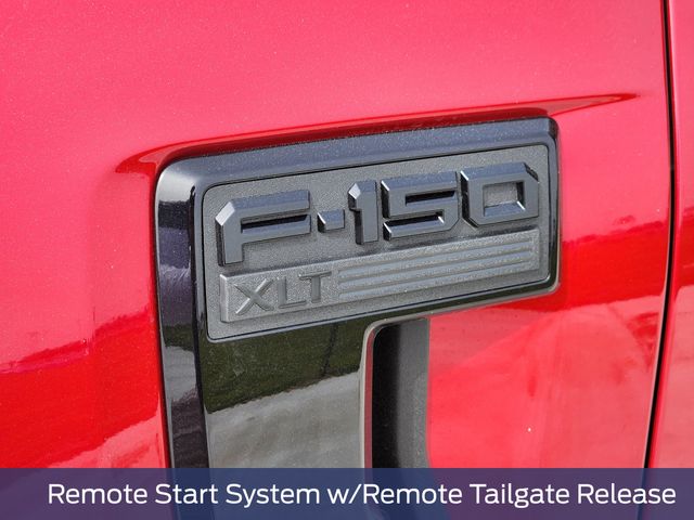2025 Ford F-150 XLT photo 8