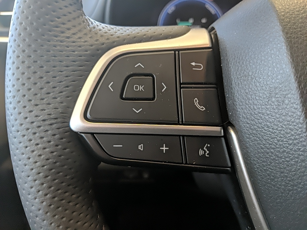 2025 Toyota Sienna Platinum photo 12