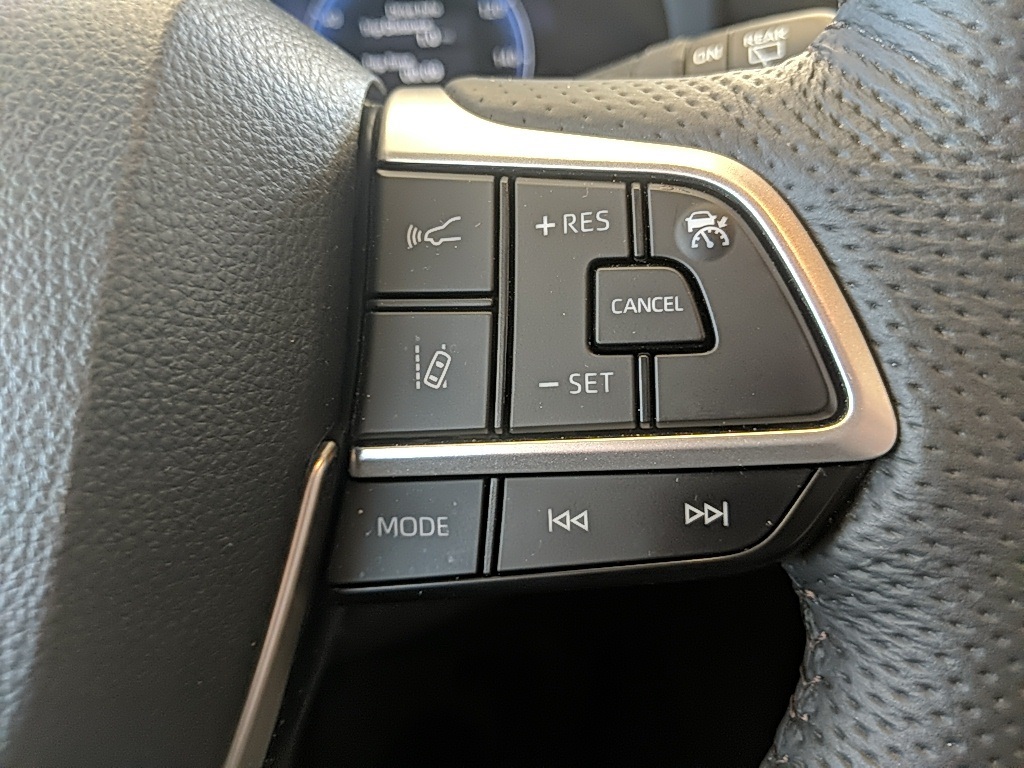 2025 Toyota Sienna Platinum photo 13