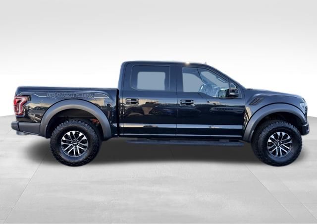 2019 Ford F-150 Raptor photo 4
