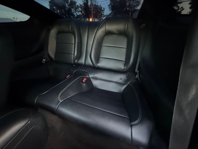 2015 Ford Mustang GT photo 15