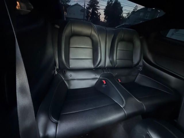 2015 Ford Mustang GT photo 19