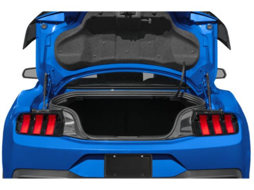 Showcase Image