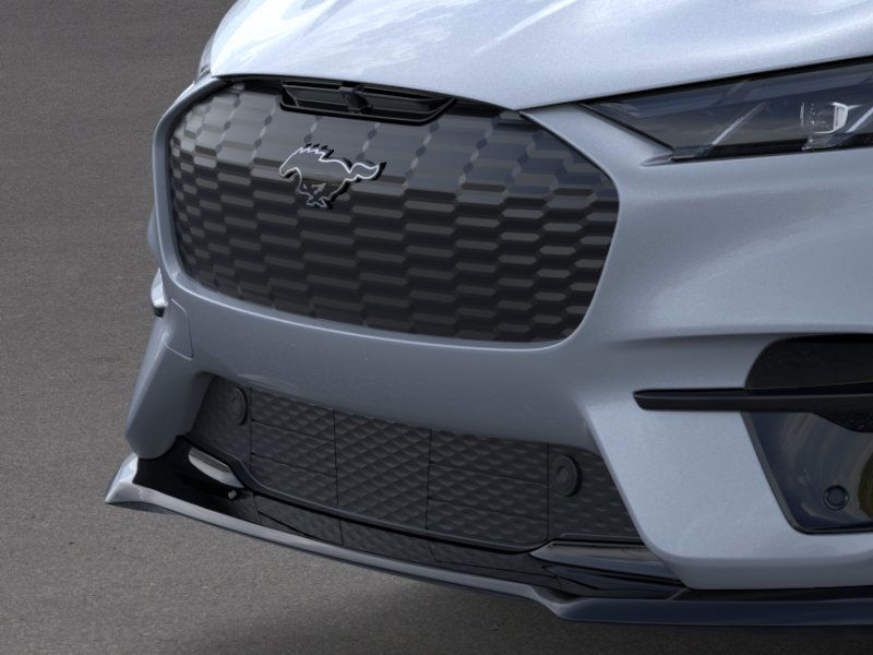 2025 Ford Mustang Mach-E GT photo 11