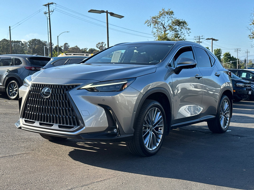 2024 Lexus NX 350h Luxury photo 2