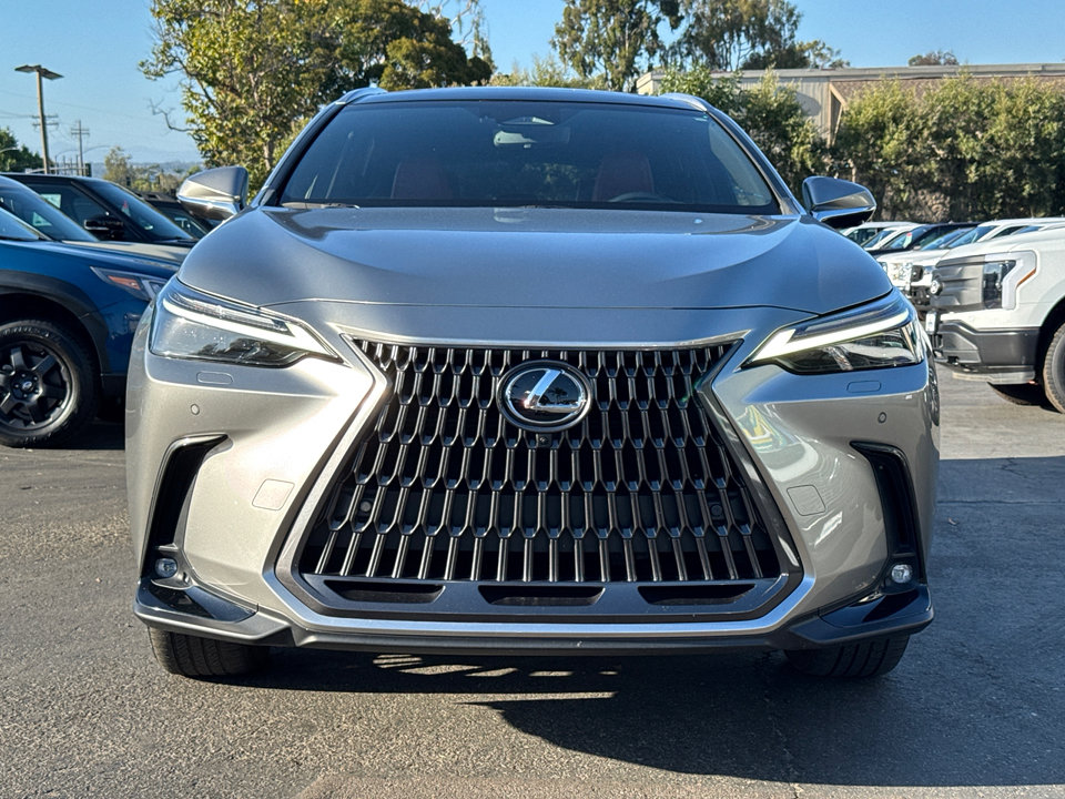 2024 Lexus NX 350h Luxury photo 3