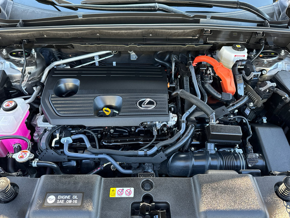 2024 Lexus NX 350h Luxury photo 6