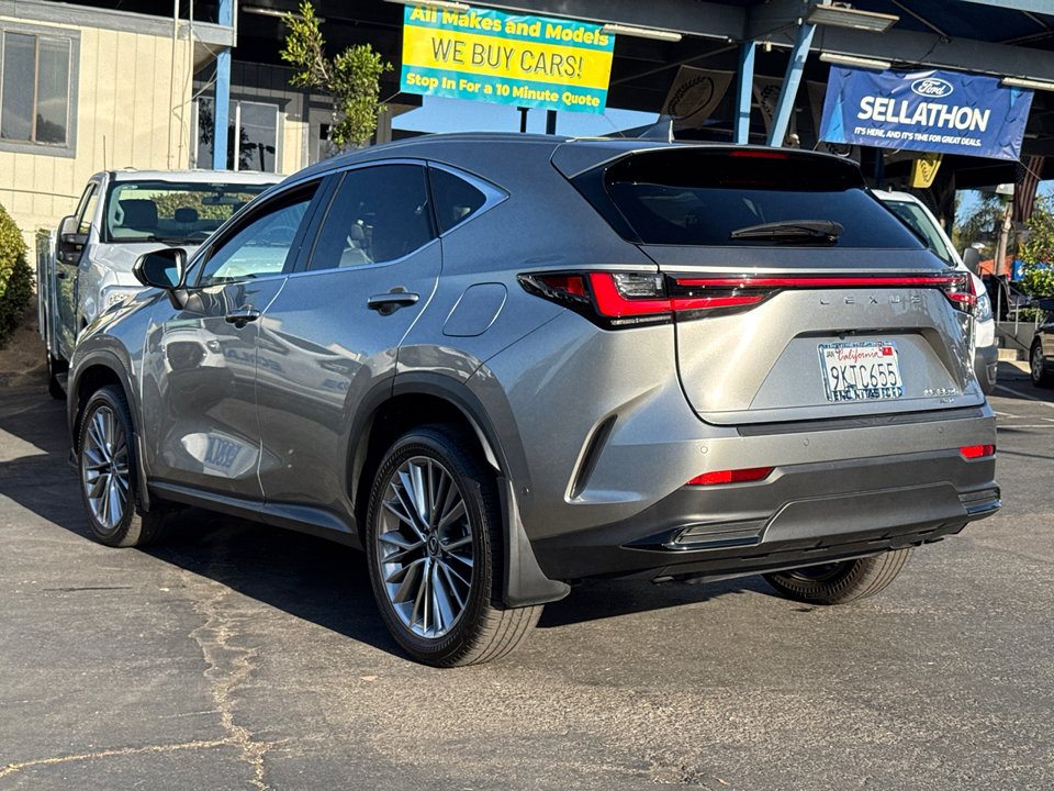 2024 Lexus NX 350h Luxury photo 9