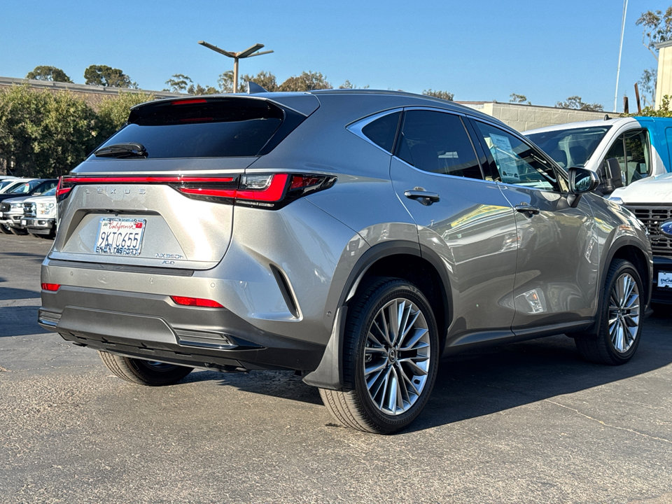 2024 Lexus NX 350h Luxury photo 11