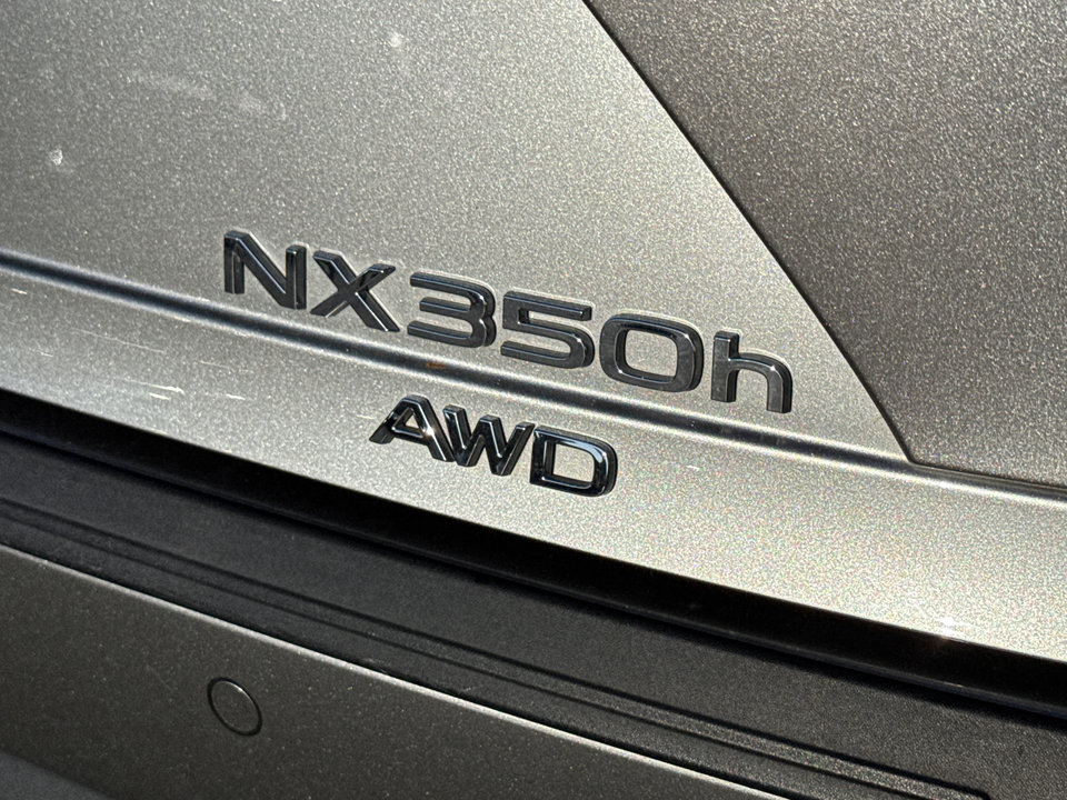 2024 Lexus NX 350h Luxury photo 12