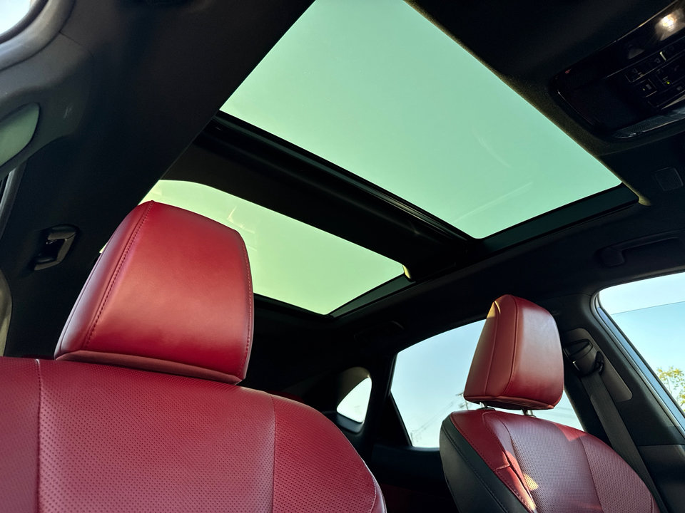 2024 Lexus NX 350h Luxury photo 13