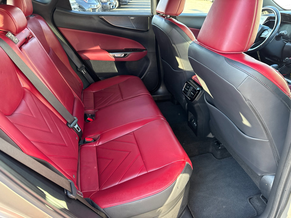 2024 Lexus NX 350h Luxury photo 15
