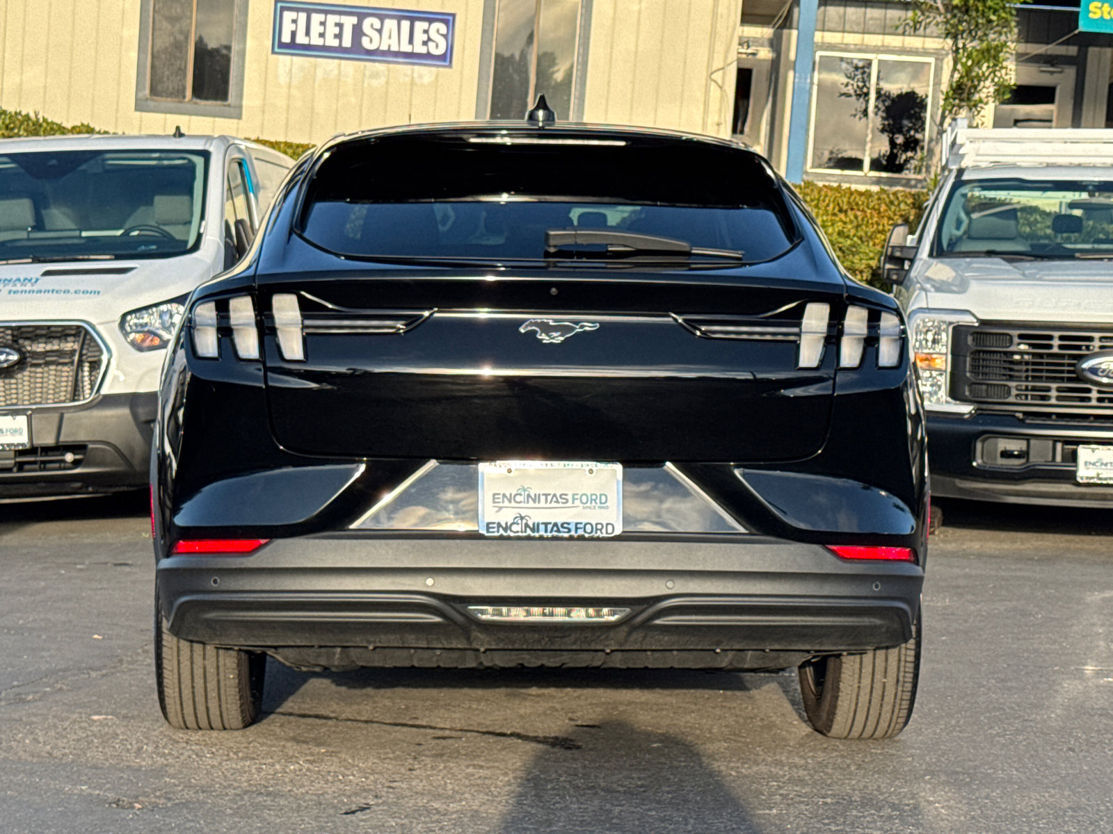 2023 Ford Mustang Mach-E Select photo 11