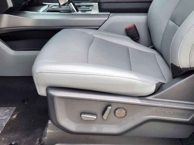 2025 Ford F-150 Lightning photo 16