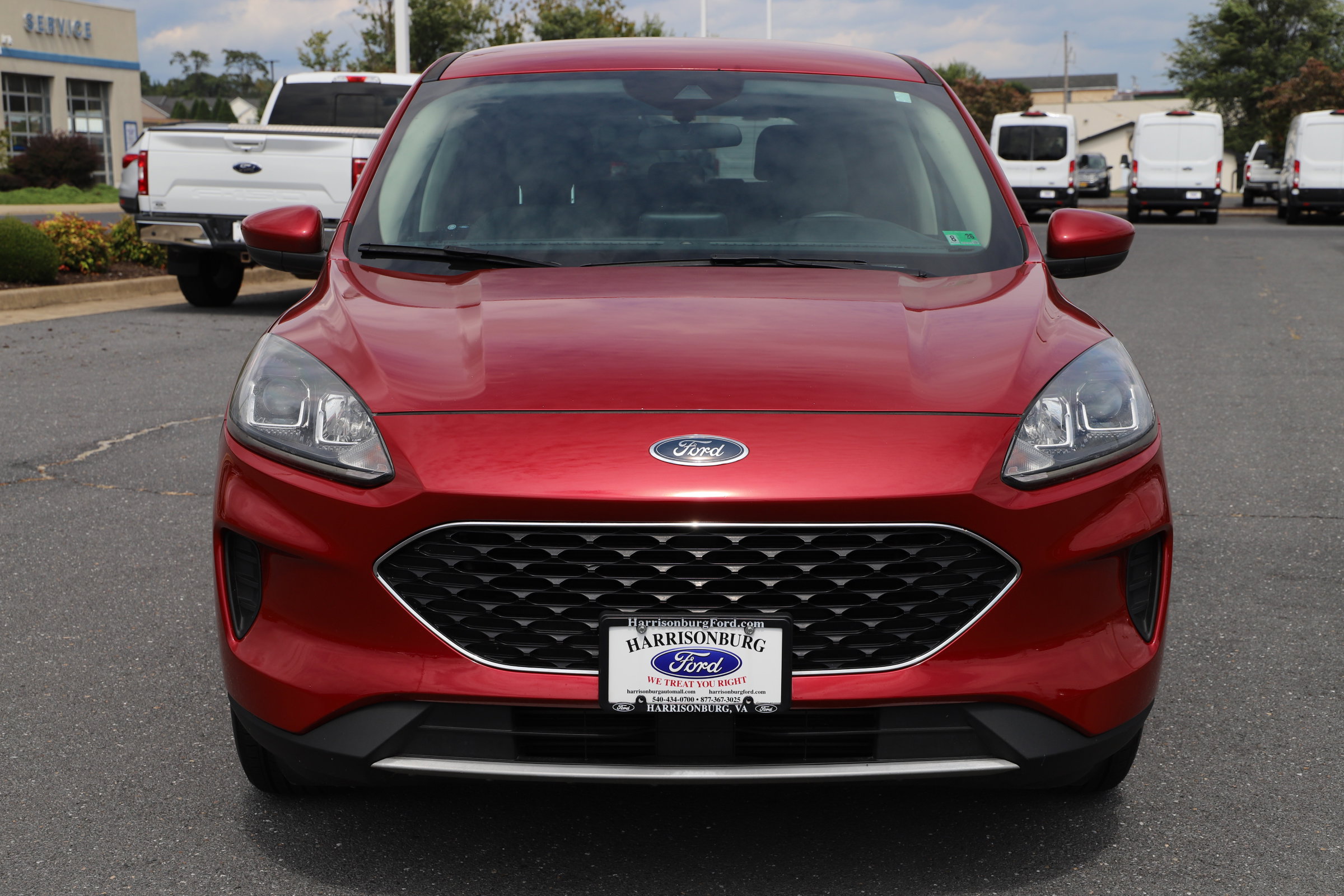 2020 Ford Escape SE photo 6