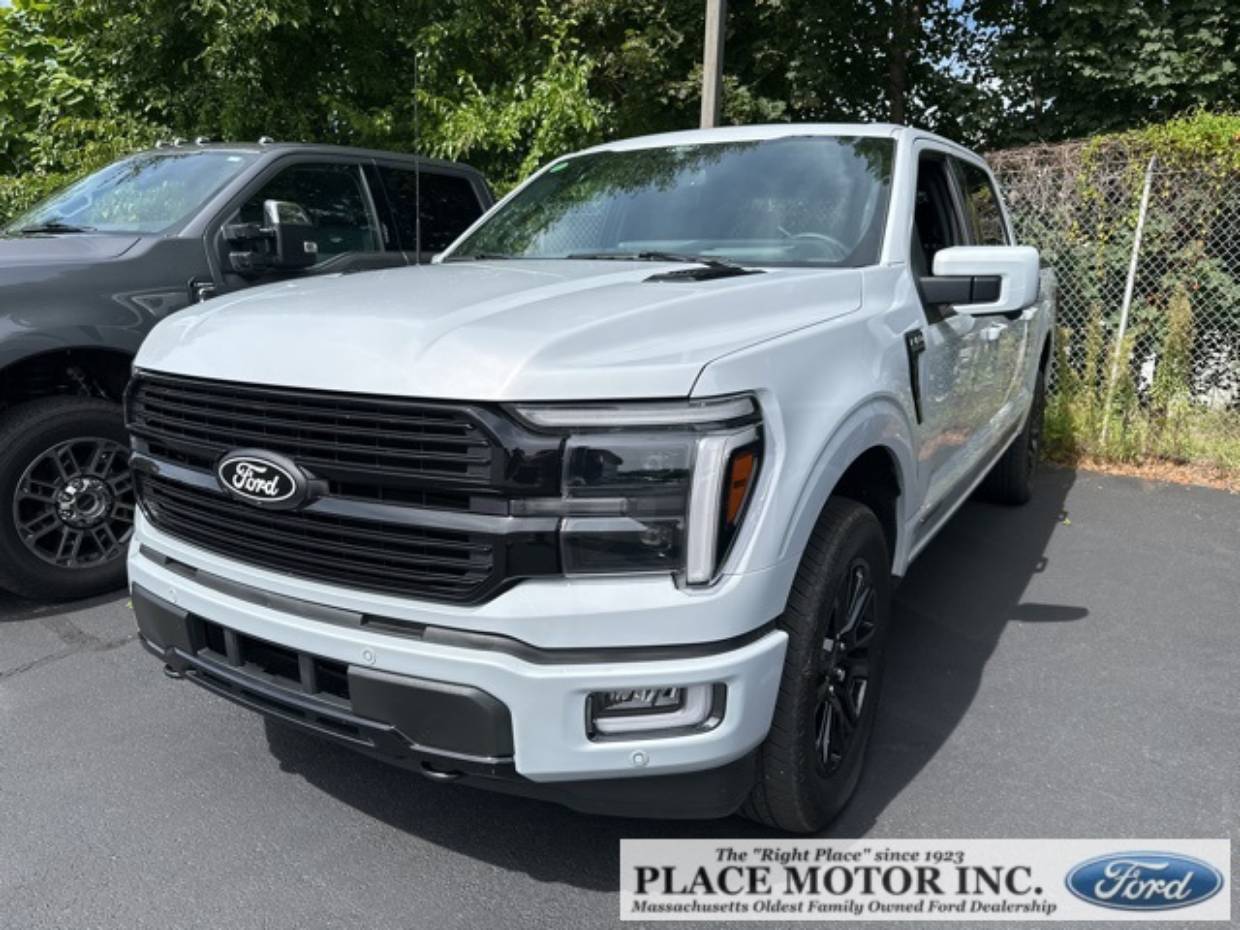 2025 Ford F-150 Platinum's photo
