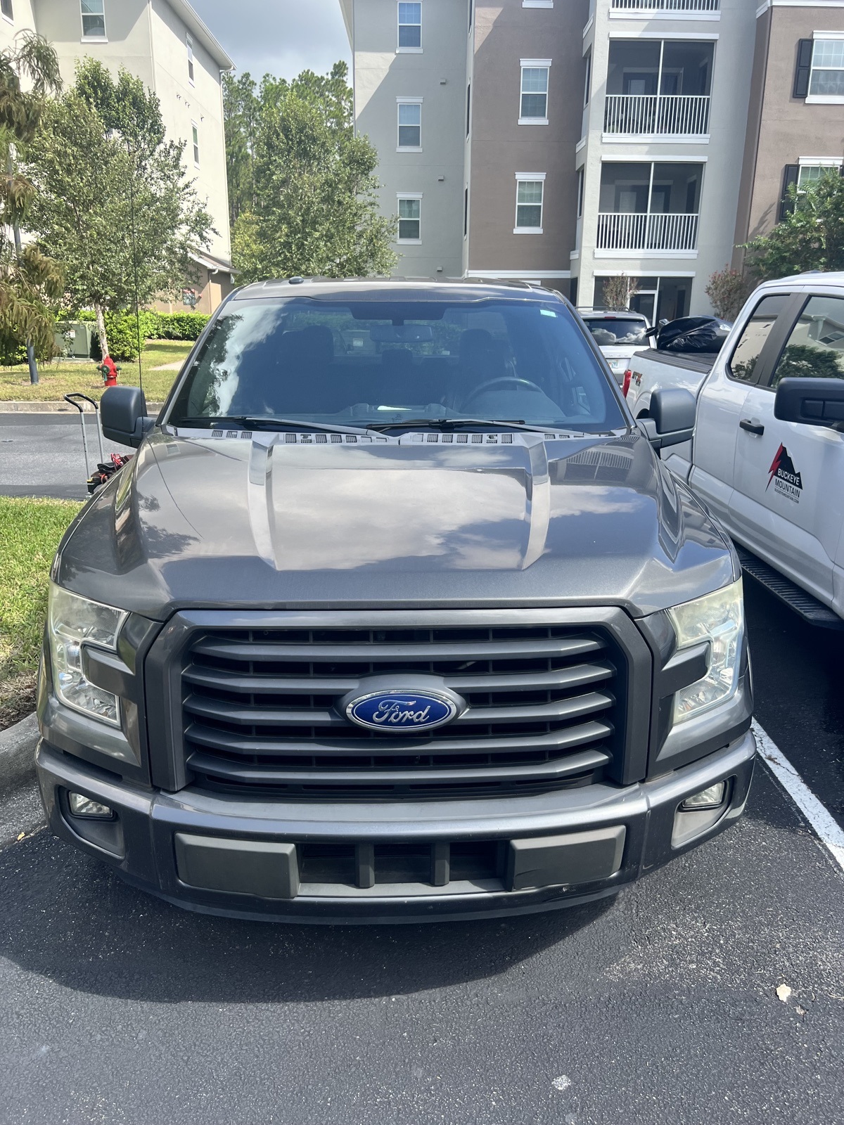 Used 2015 Ford F-150 XLT