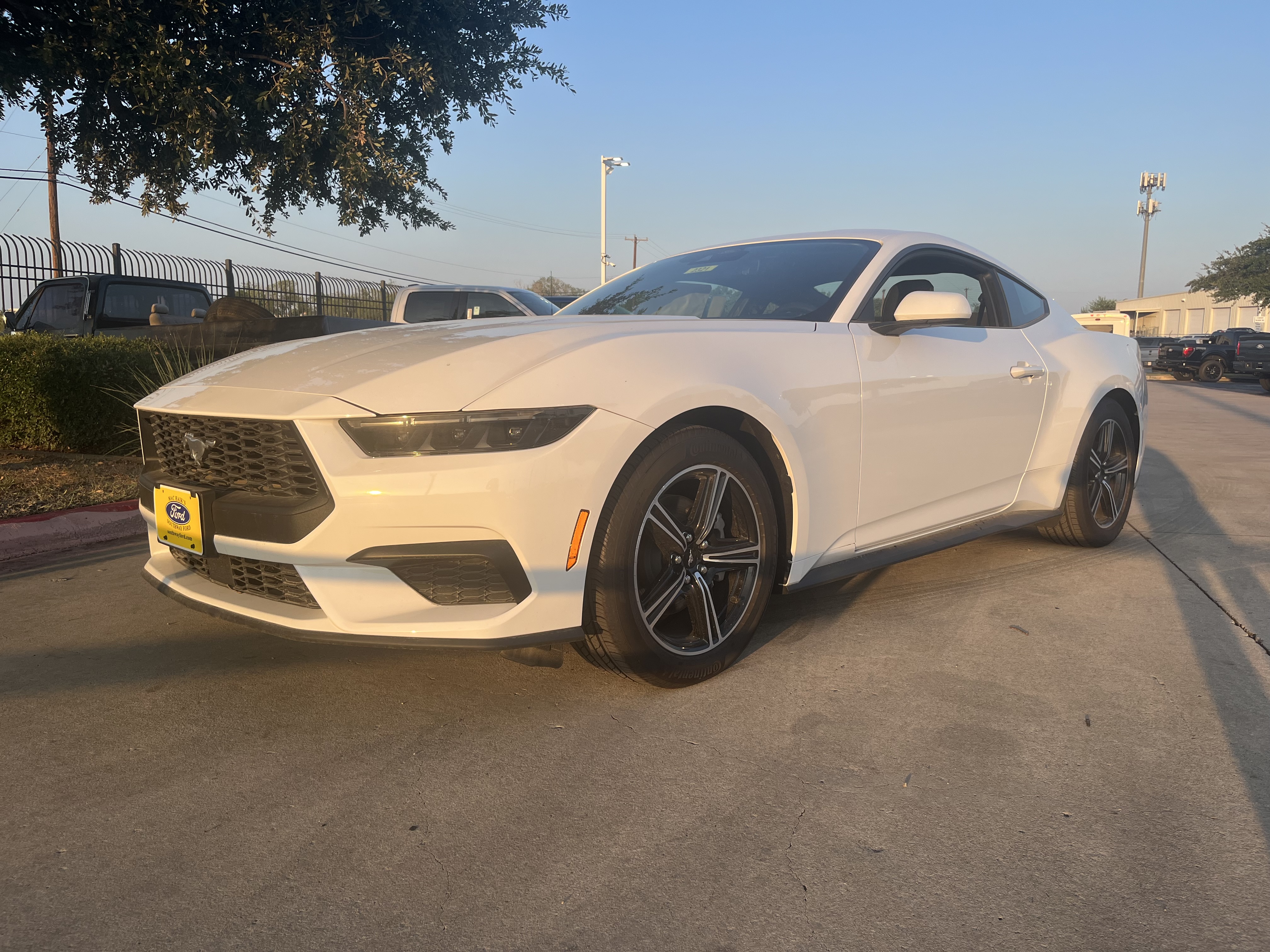 2025 Ford Mustang EcoBoost's photo