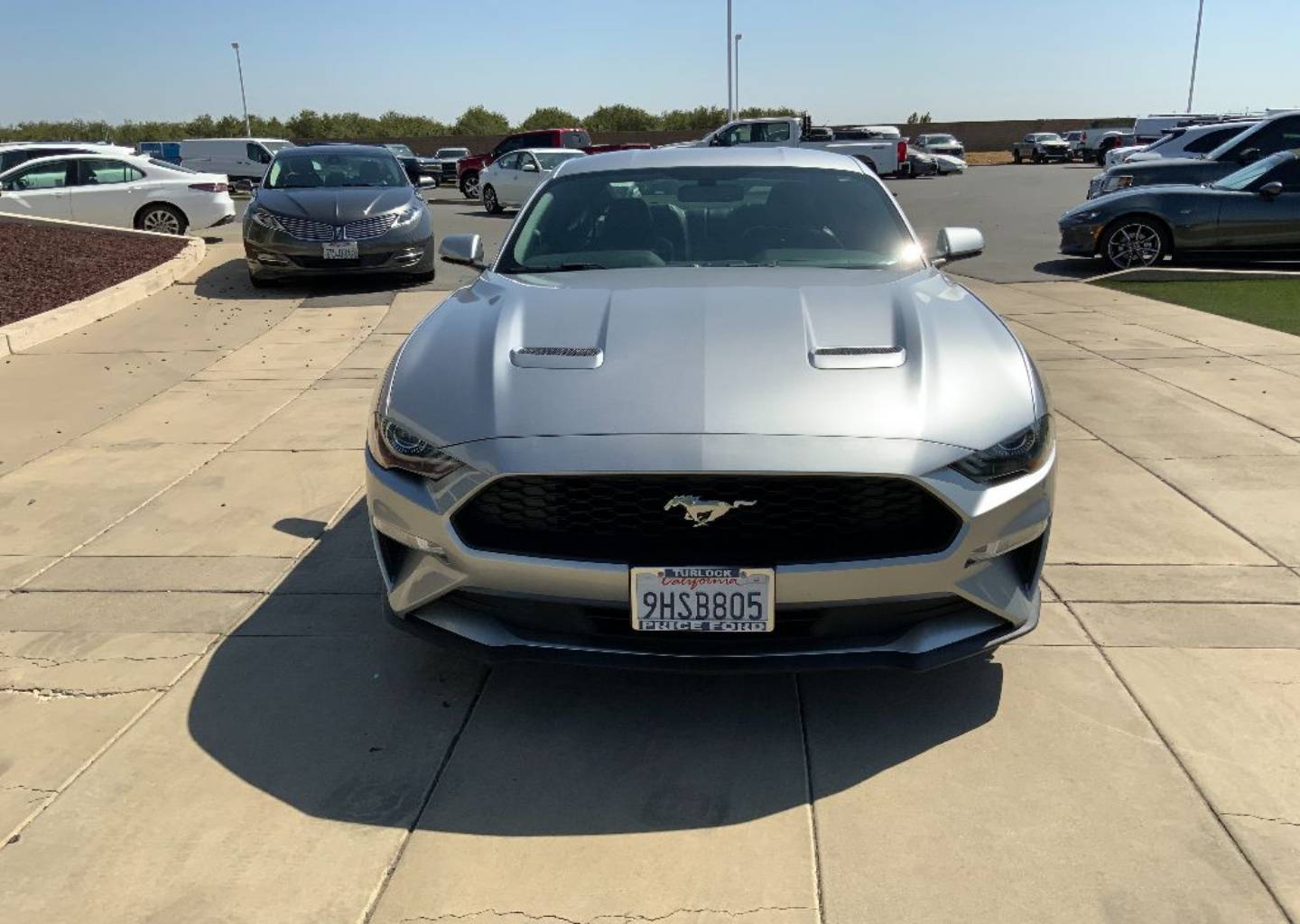 Used 2020 Ford Mustang EcoBoost Premium with VIN 1FA6P8THXL5131942 for sale in Turlock, CA