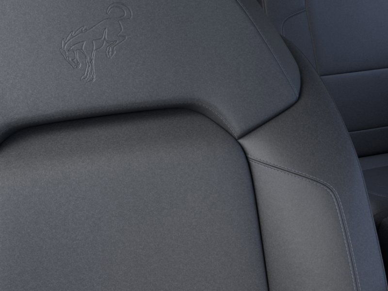 2025 Ford Bronco Badlands photo 17