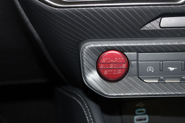 2025 Ford Mustang GT photo 12