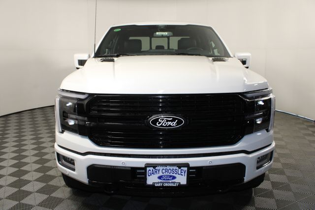 2025 Ford F-150 Platinum photo 3
