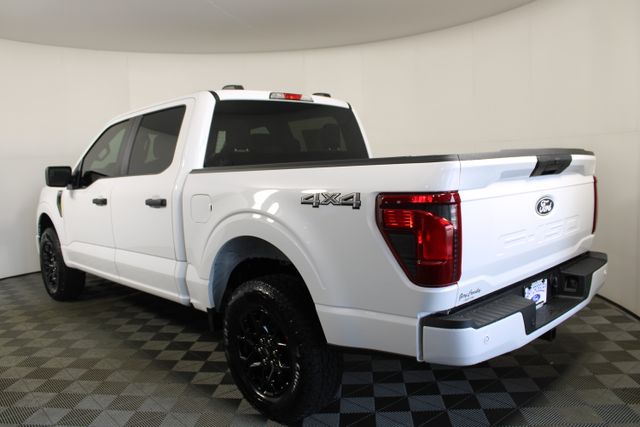 2025 Ford F-150 STX photo 5