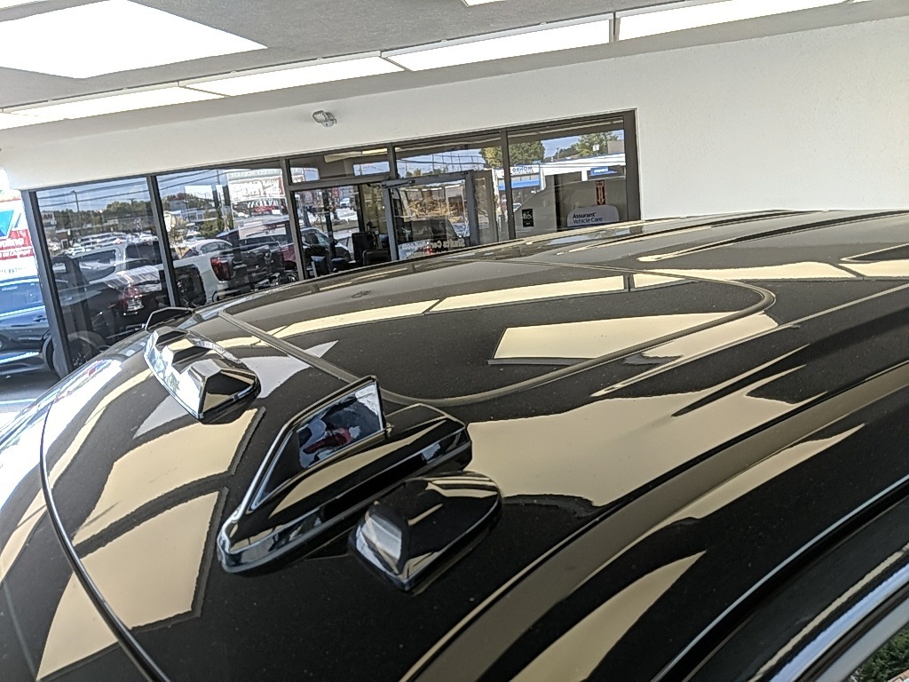 Showcase Image