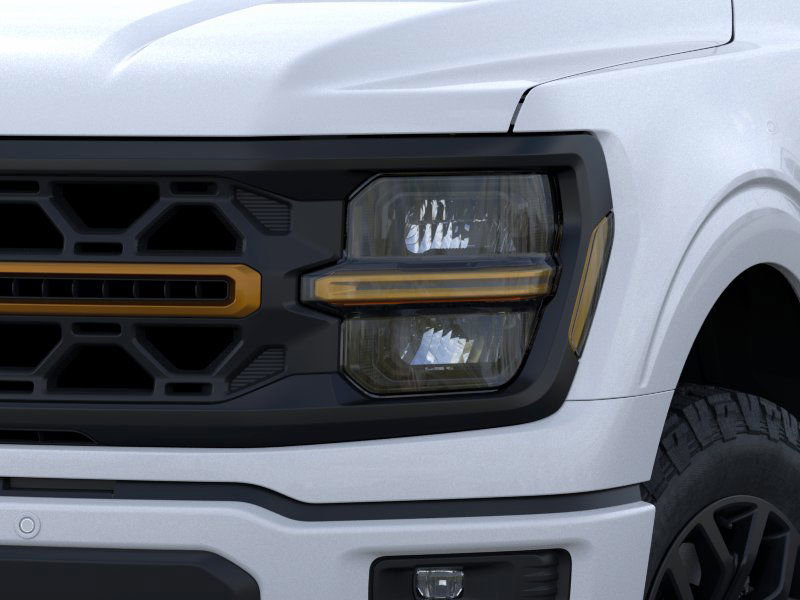 2025 Ford F-150 Tremor photo 15