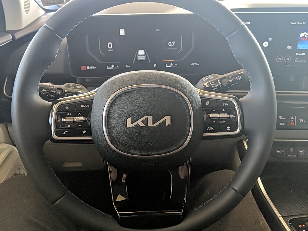 2025 Kia Carnival SX Prestige photo 15