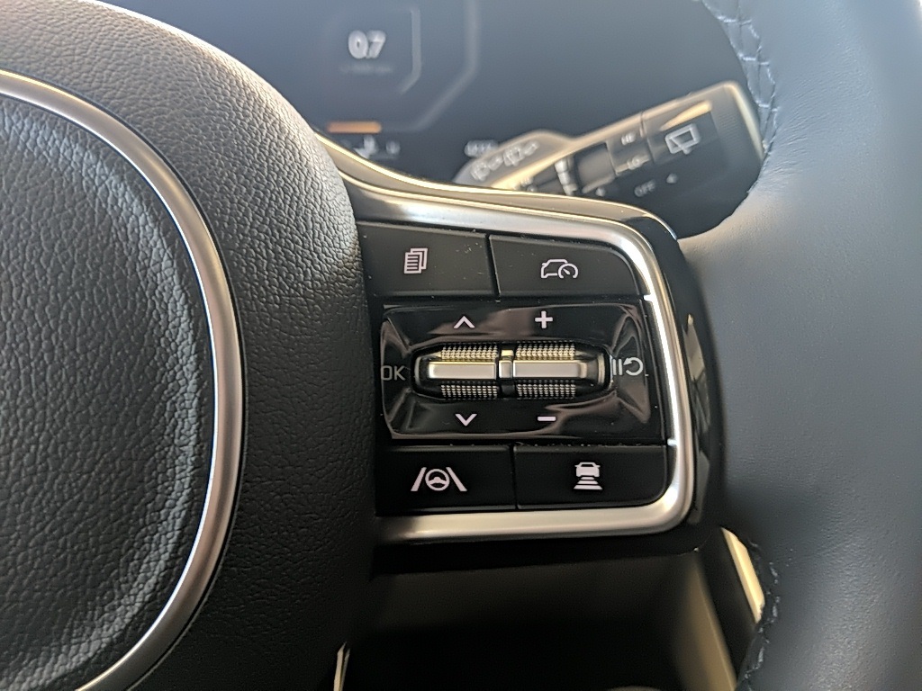 2025 Kia Carnival SX Prestige photo 17