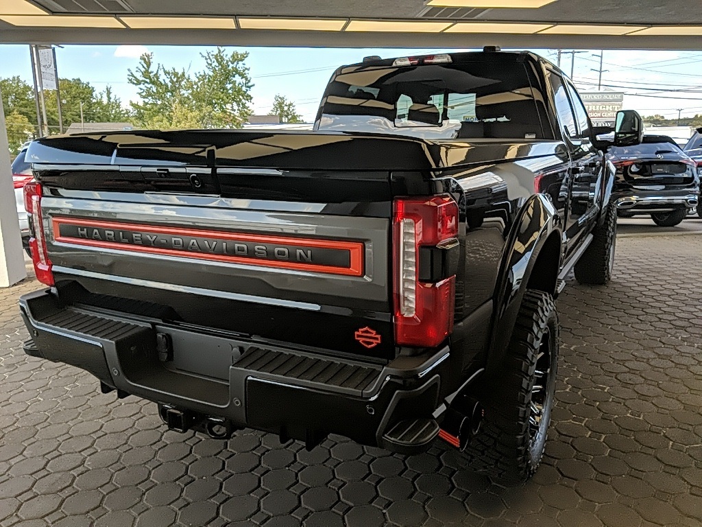 Showcase Image