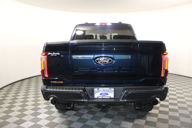 2025 Ford F-150 Tremor photo 16