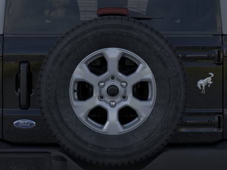 Showcase Image