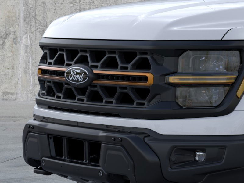 2025 Ford F-150 Tremor photo 14
