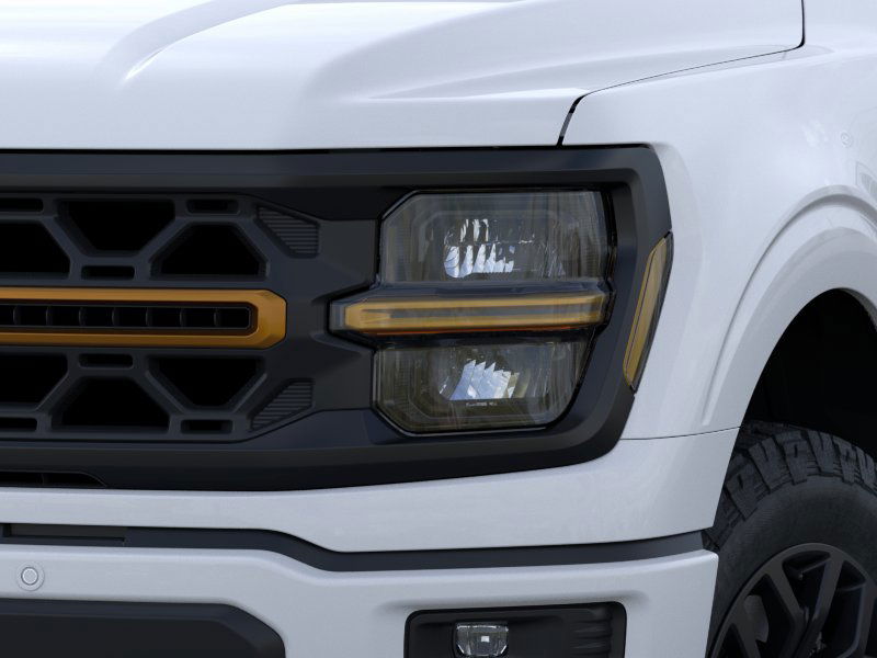 2025 Ford F-150 Tremor photo 15