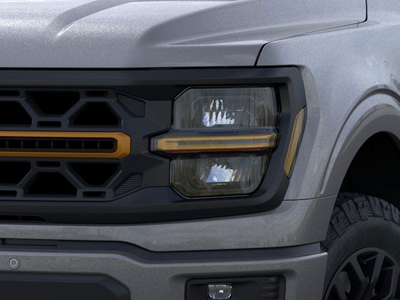 2025 Ford F-150 Tremor photo 12