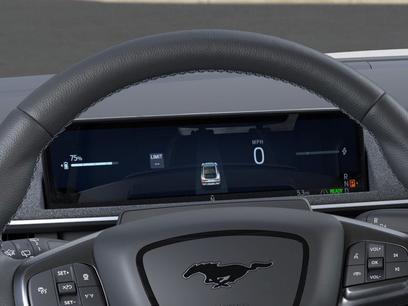 2025 Ford Mustang Mach-E GT photo 10