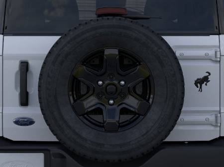 Showcase Image