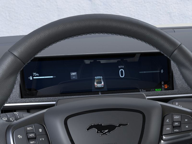 2025 Ford Mustang Mach-E GT photo 16
