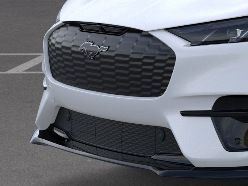 2025 Ford Mustang Mach-E GT photo 18