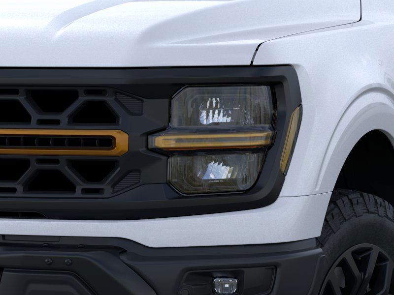 2025 Ford F-150 Tremor photo 17