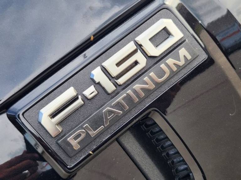 2025 Ford F-150 Platinum - Photo 8