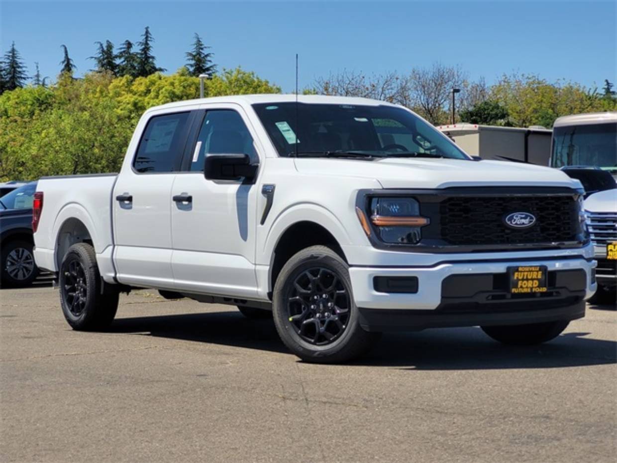 2025 Ford F-150 STX's photo