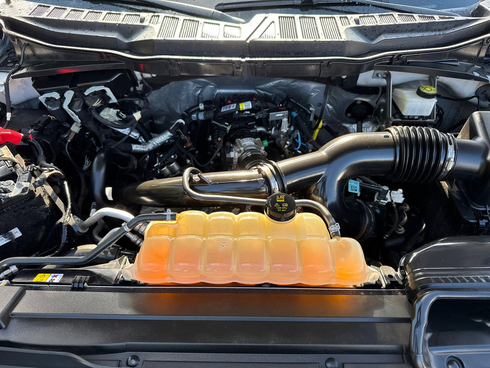 2022 Ford F-150 XL photo 9