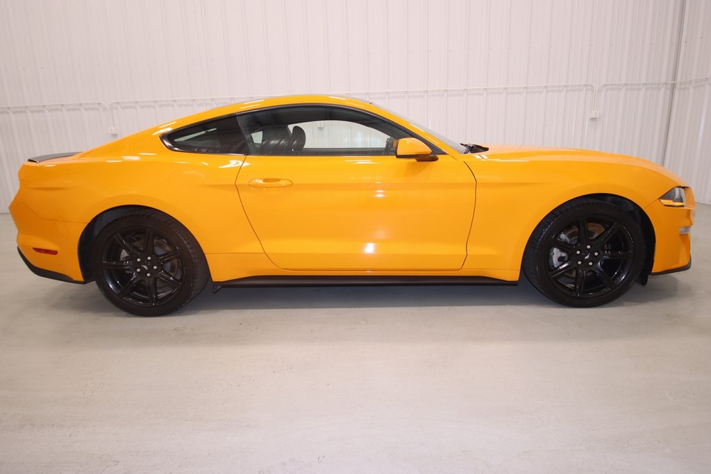 2019 Ford Mustang photo 2