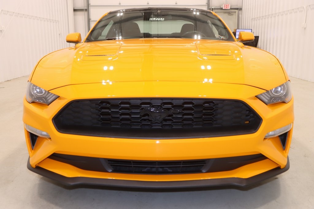2019 Ford Mustang photo 4